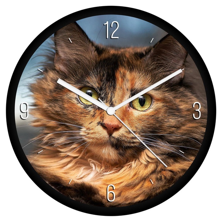 Tarka cica falióra - negyedes