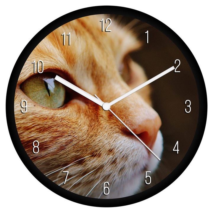 Vörös cica pofi falióra - számos