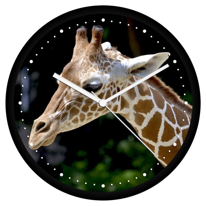 Zsiráf 1 falióra - perces