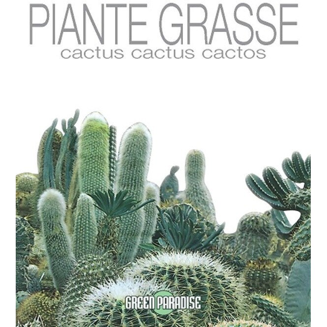 Seminte plante de cactus amestec, Le Insolite, plic 0.5gr