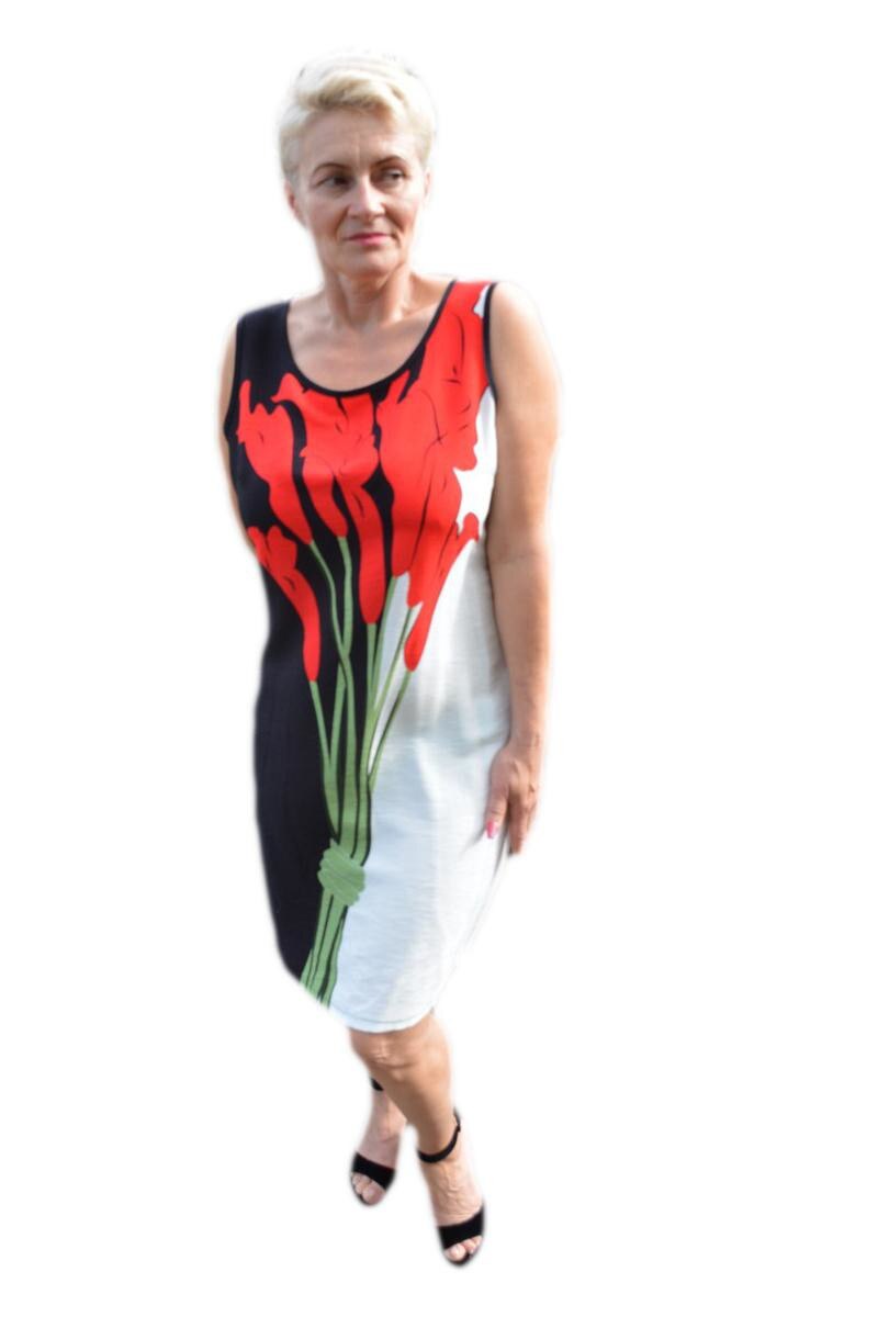 Rochie rafinata, de zi, D&J Exclusive, Negru-rosu