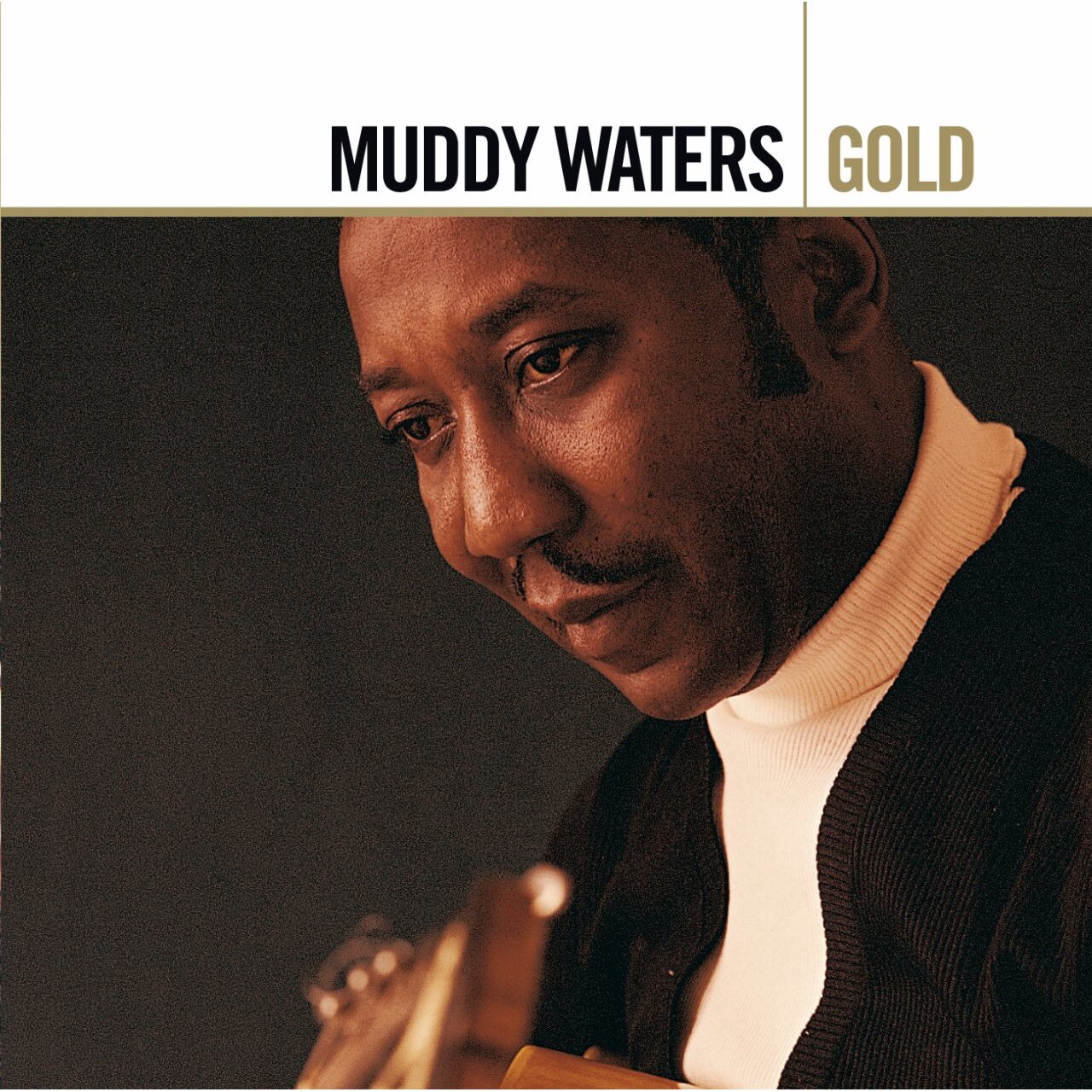 Muddy Waters - Gold (CD)
