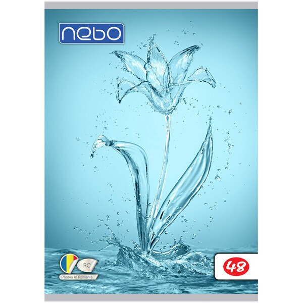 Caiet NEBO A5 FOI VELINE 65-70 g/mp 48 file Premium , Robentoys