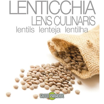 Seminte Le Insolite Linte plic 15 grame Seminte Le Insolite Linte plic 15 grame