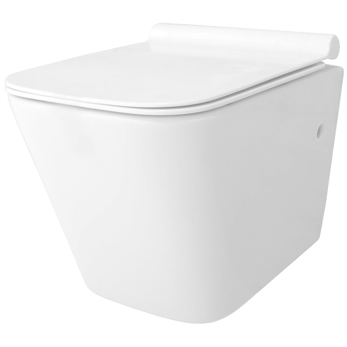 Vas toaleta, wc EGO-Rau, suspendat, Rimless-fara bordura, capac Duroplast inclus, 49x33.5 cm