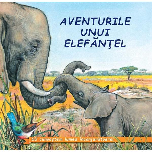 Aventurile unui elefantel - Sa cunoastem lumea inconjuratoare!