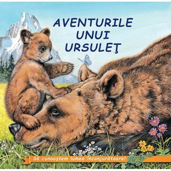 Aventurile unui ursulet - Sa cunoastem lumea inconjuratoare! Aventurile unui ursulet - Sa cunoastem lumea inconjuratoare!