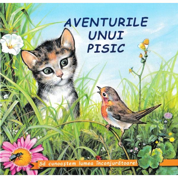 Aventurile unui pisic - Sa cunoastem lumea inconjuratoare!