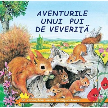Aventurile unui pui de veverita - Sa cunoastem lumea inconjuratoare! Aventurile unui pui de veverita - Sa cunoastem lumea inconjuratoare!