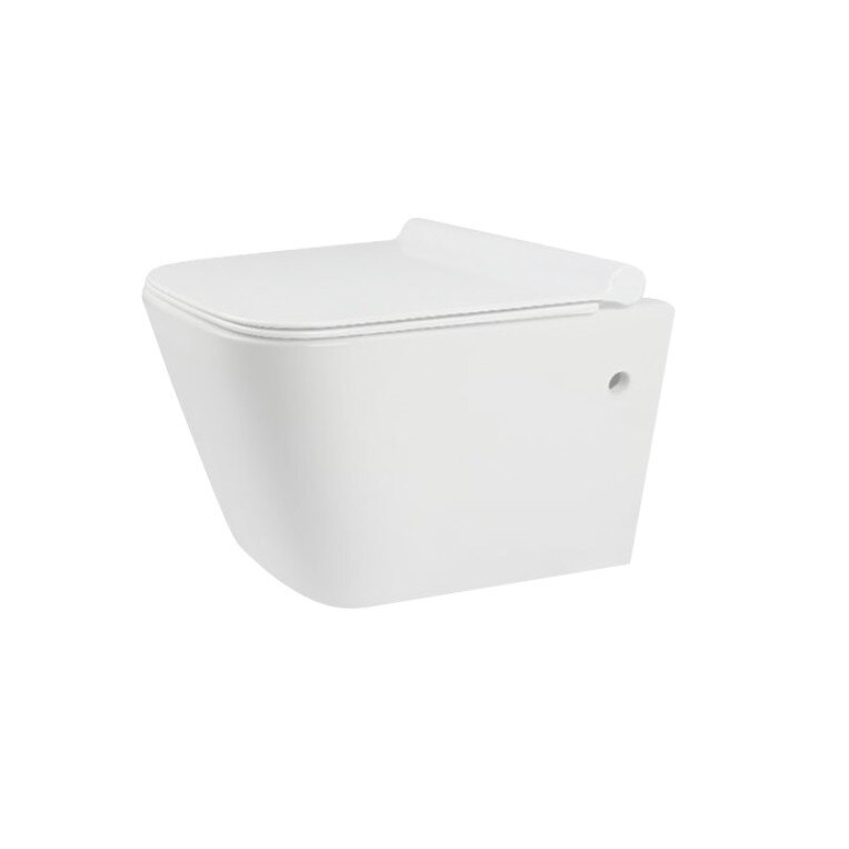 Vas toaleta EGO Ryan, wc suspendat, tehnologia Rimless, capac Duroplast inclus, 52x36 cm