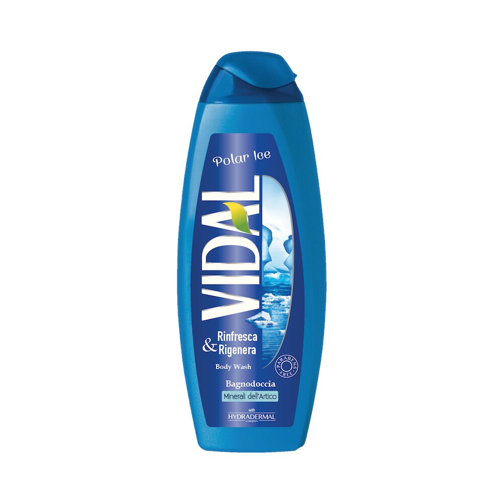 Gel de Dus Vidal Minerale Arctice 500 ml