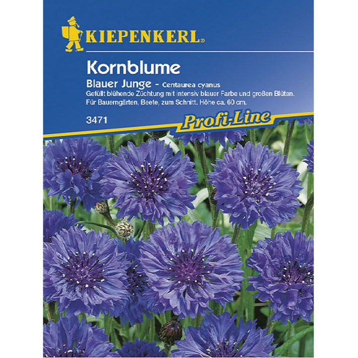 Seminte de Albastrele Blauer Junge, plic de 60 seminte