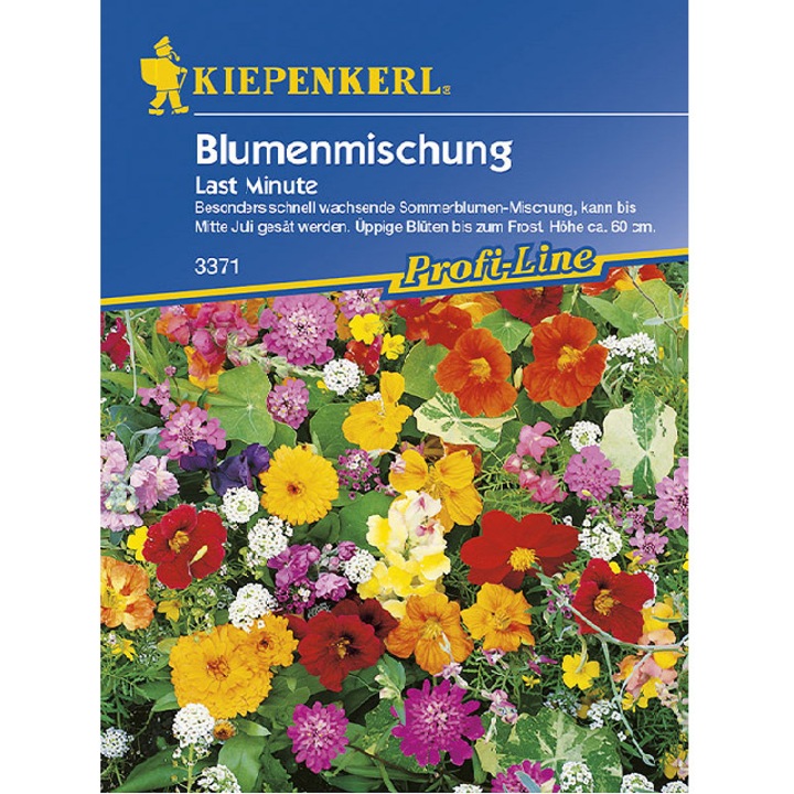 Seminte Amestec Flori Last Minute, plic 5 grame