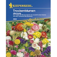 Seminte Amestec Flori Uscate, plic de 80 seminte