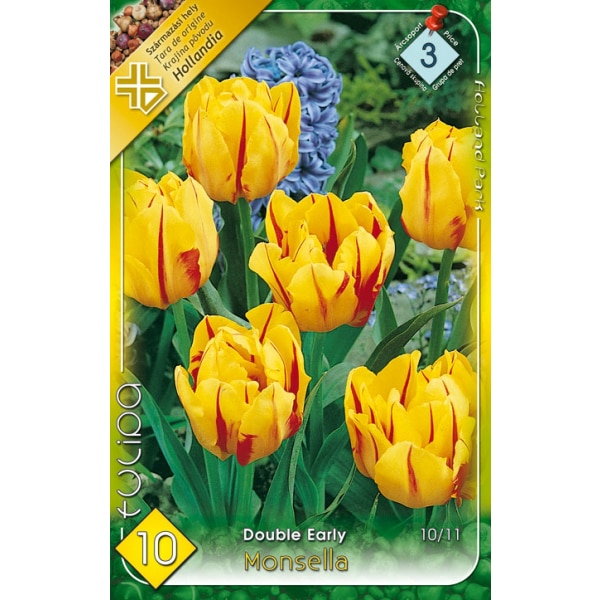 Bulbi Lalele Duble Monsella HOLLAND PARK 10 bucati