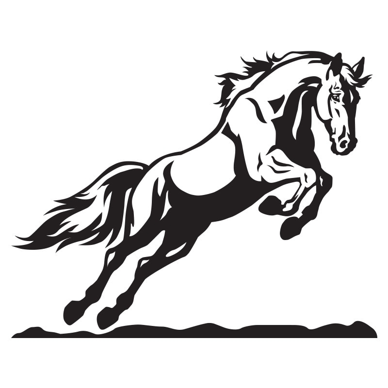 Sticker - SMAER - Cal Artistic - 60cm x 45cm - Negru