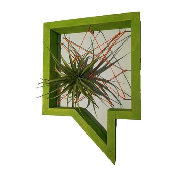 Obiect decorativ handmade, ‘GAND’ lemn natur , planta aeriena, verde, Bloom House, natural Obiect decorativ handmade, ‘GAND’ lemn natur , planta aeriena, verde, Bloom House, natural