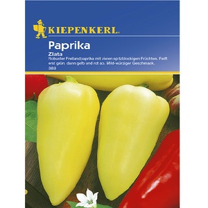 Bulbi, seminte si rasaduri