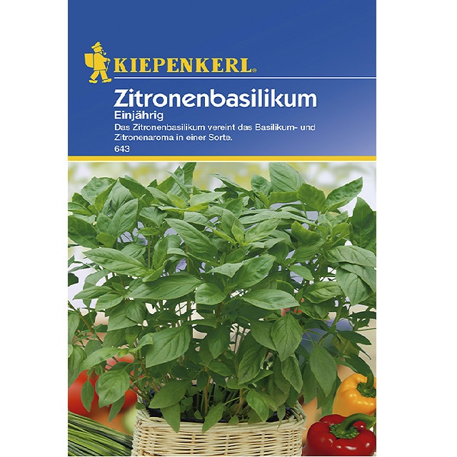 Seminte de Busuioc Frunza de Lamaie, plic de 150 seminte