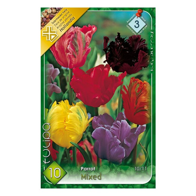 Bulbi lalele Parrot Mixt HOLLAND PARK 10 bucati