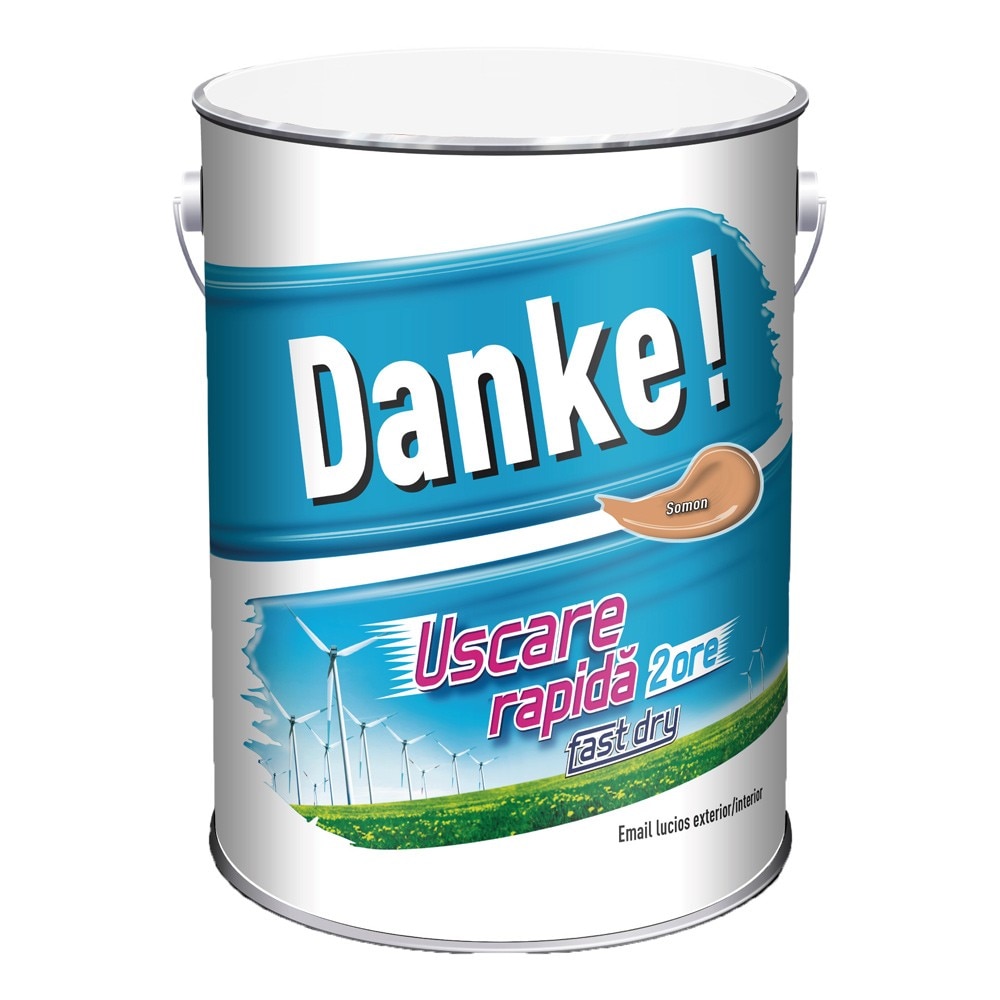 Vopsea lucioasa Danke Exterior Somon 4L