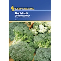 Seminte de Broccoli Calabrese Natalino, plic de 50 seminte