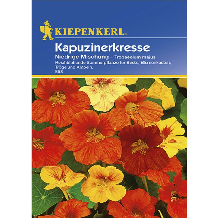 Seminte de Caltunas Niedrige Mix, plic 20 seminte