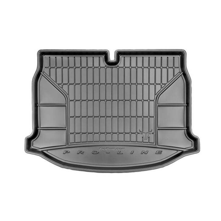Tava portbagaj dedicata VW BEETLE 04.11- proline