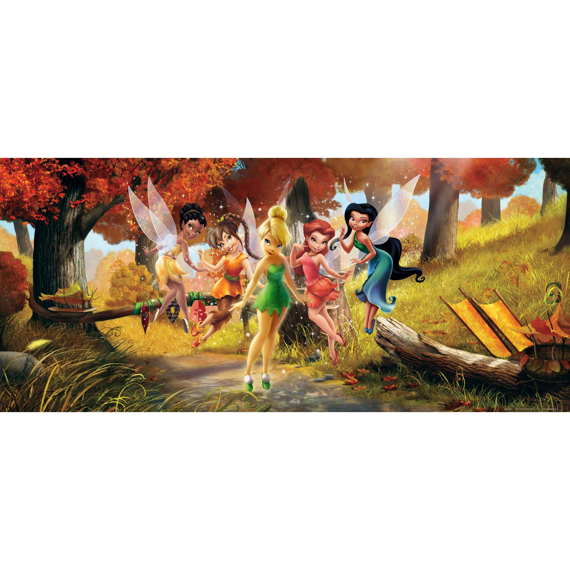 Fototapet Disney AG Design, Zane in padure FTDH0607, 202 x 90 cm