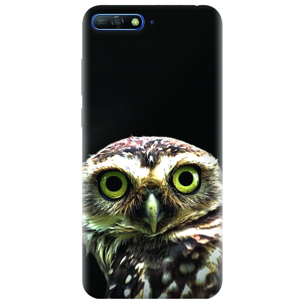 Husa silicon pentru Huawei Y6 2018, Owl In The Dark