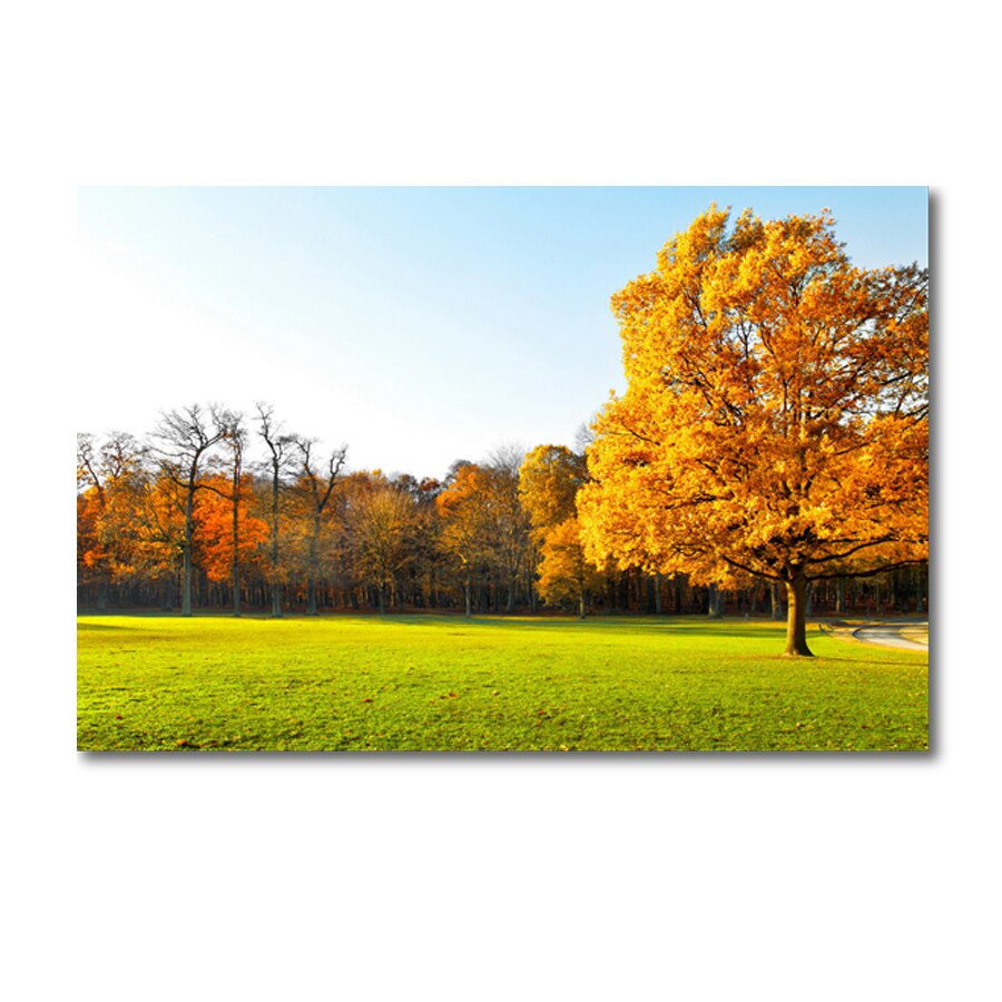 Tablou Canvas Autumn Tree, 80 x 50 cm