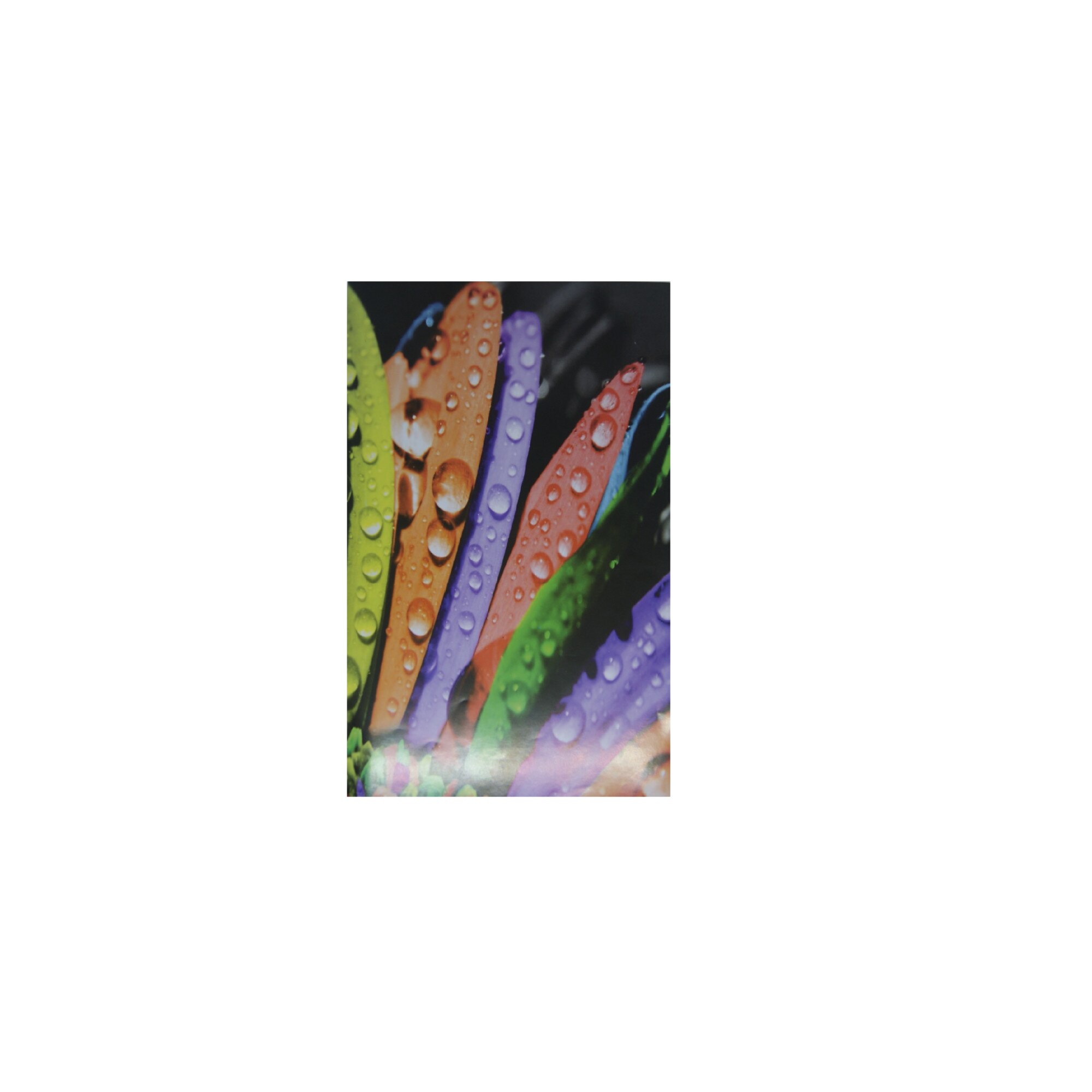 Caiet A4, 80 File, Matematica, Margine Liniata, Coperta Policromie cu Design Atractiv