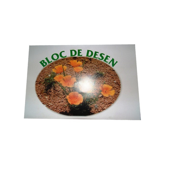 Bloc Desen, 15 File, 100 g/mp², Format A3, Coperta Policromie cu Design Atractiv, Dimensiune 297x420 mm