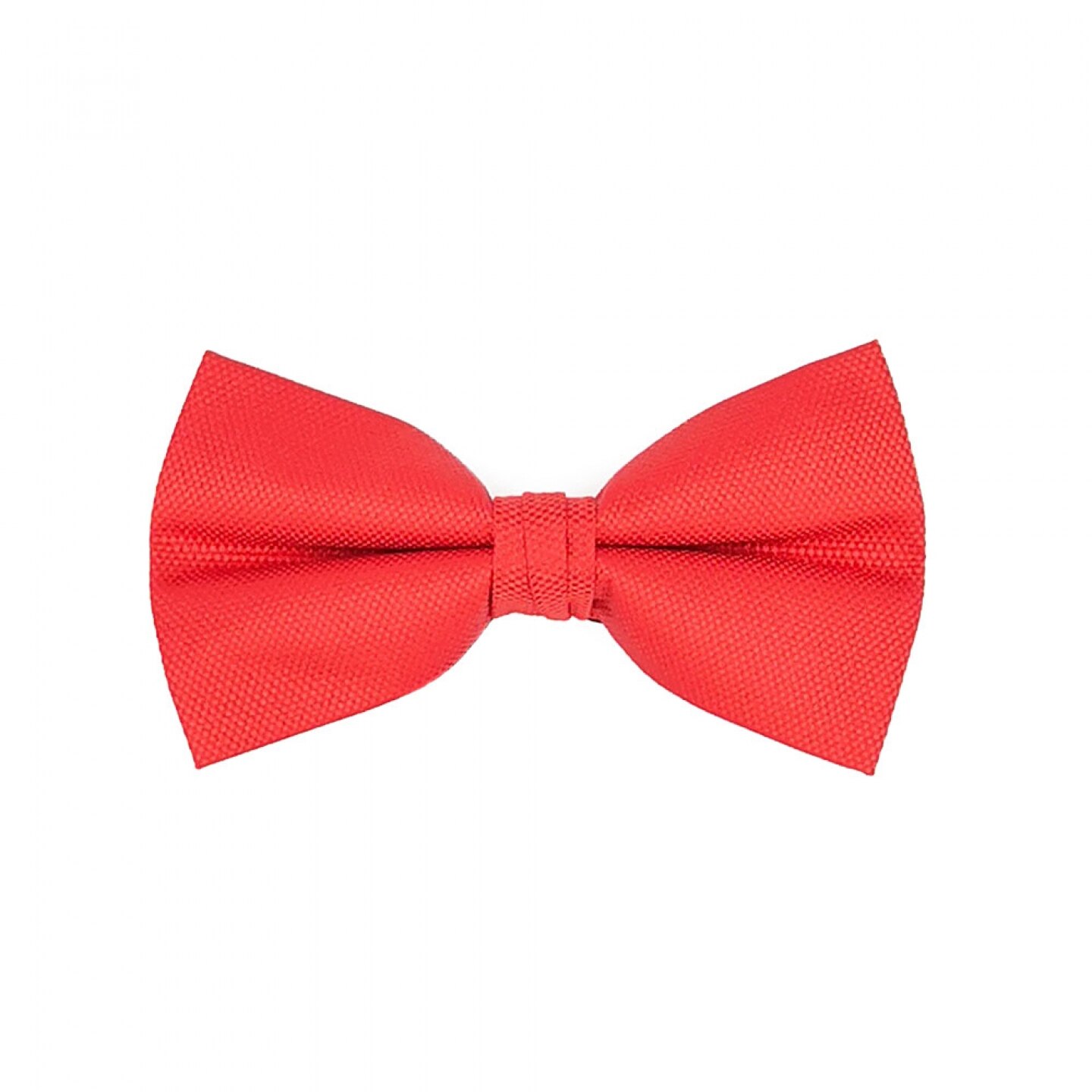 Papion rosu elegant, Onore