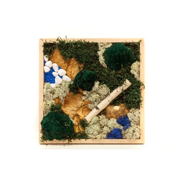 Tablou multicolor cu licheni si pietricele decorative Tablou multicolor cu licheni si pietricele decorative