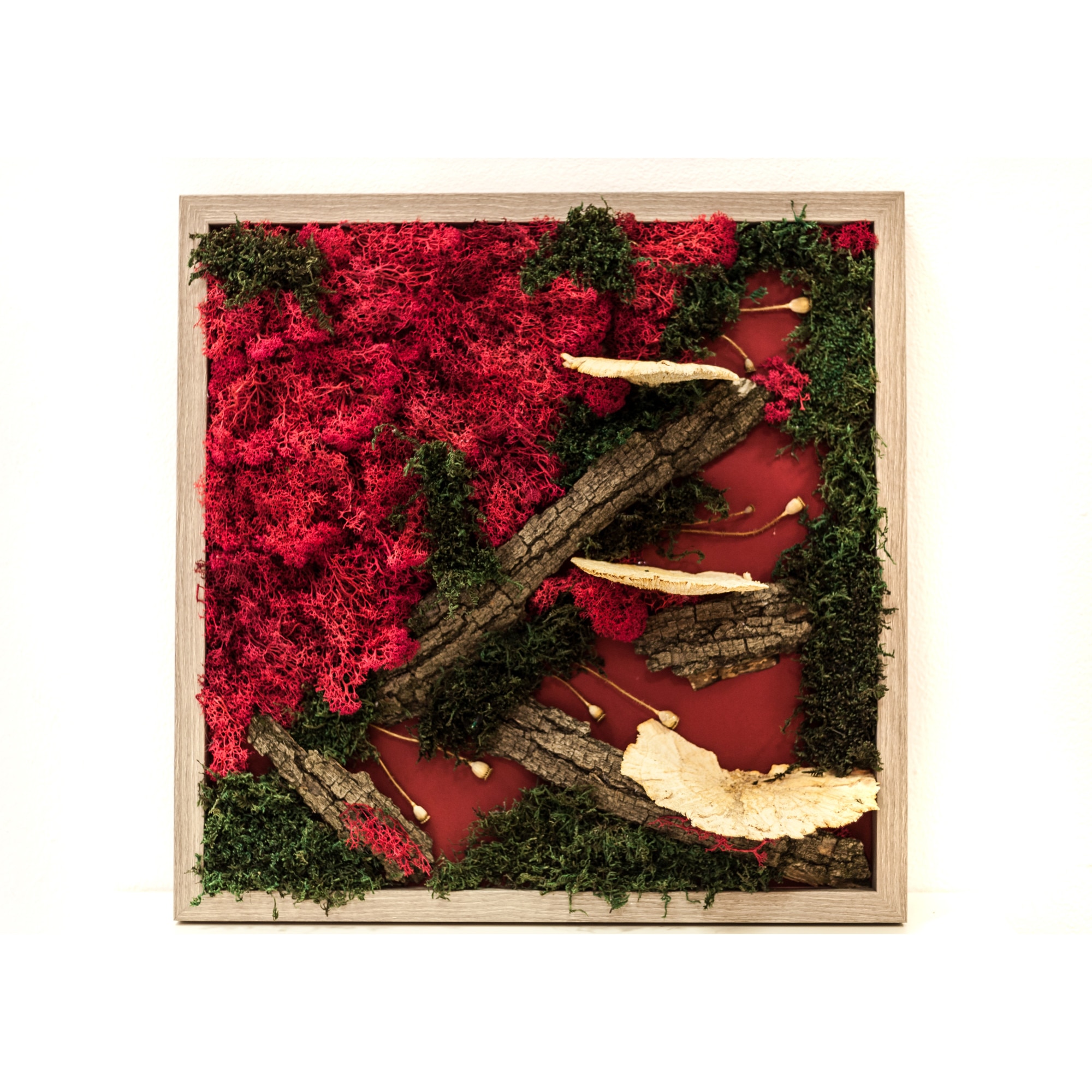 Tablou rosu cu licheni si scoarta de copac