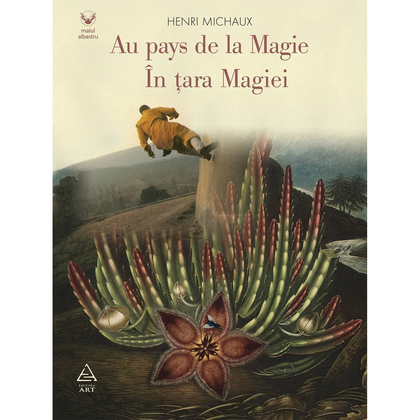 In tara magiei - Henri Michaux