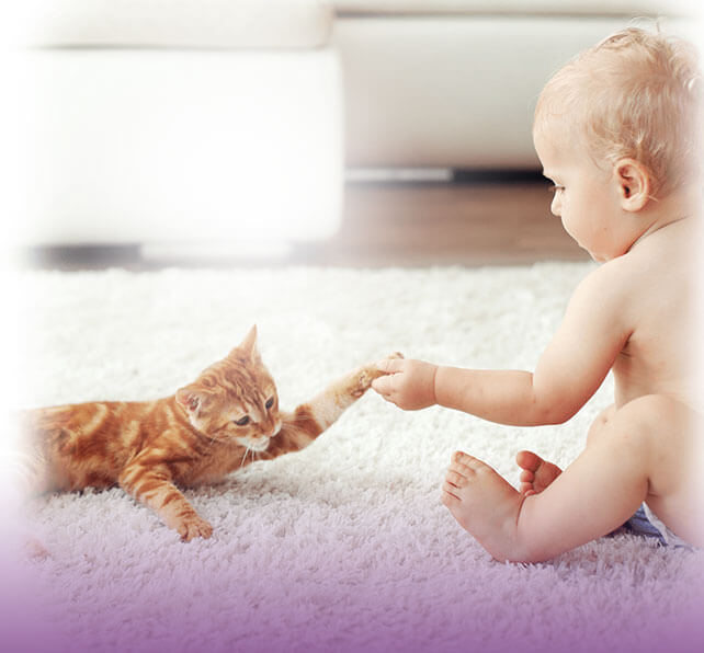 Perie Turbo aspirator Beko pentru par animale
