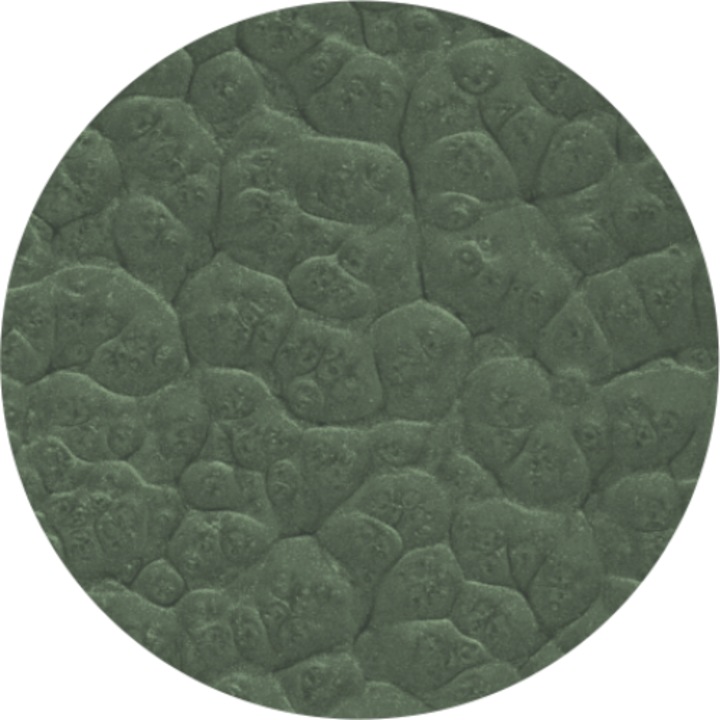 Email Hammer verde luminos 0.75L