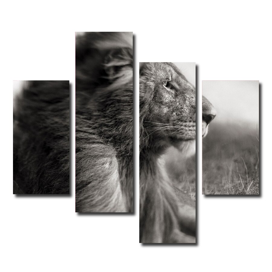 Tablou monochrome lion , 4 Piese, 90 x 120cm
