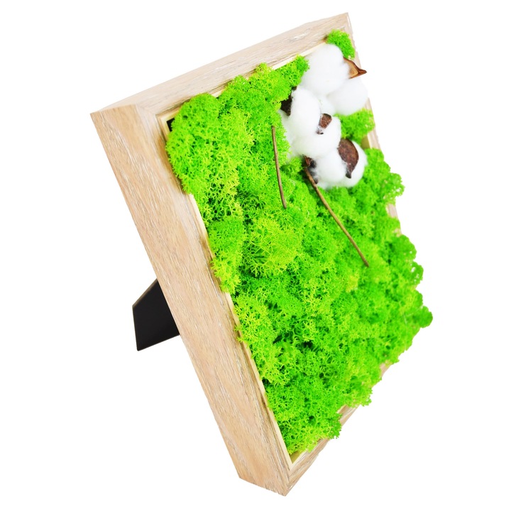 Tablou cu licheni stabilizati si flori bumbac, Fairy Garden