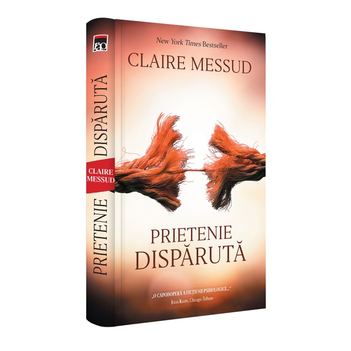 Prietenie disparuta - Claire Messud