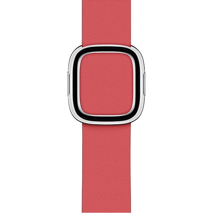 Curea pentru Apple Watch 40mm, Medium, Peony Pink Modern Buckle