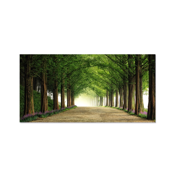 Tablou Canvas - Padure, Copaci, Arbore, Flori, Drumete, Peisaj, Natura, Primavara, 50 x 100 cm