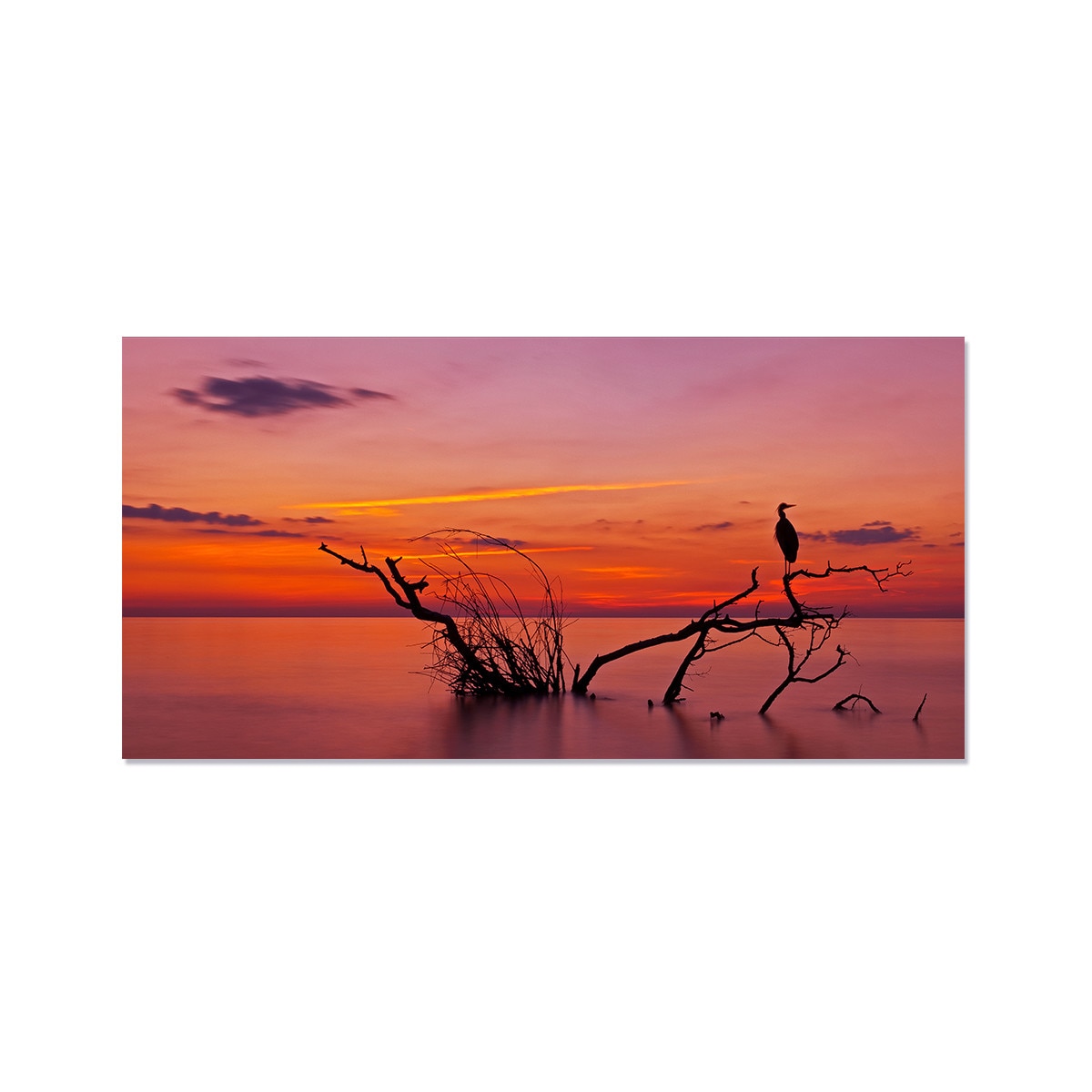 Tablou Canvas - Mare, Nori, Crengi, Pasare, Apus de soare, Peisaj, Natura, Vara, 50 x 100 cm