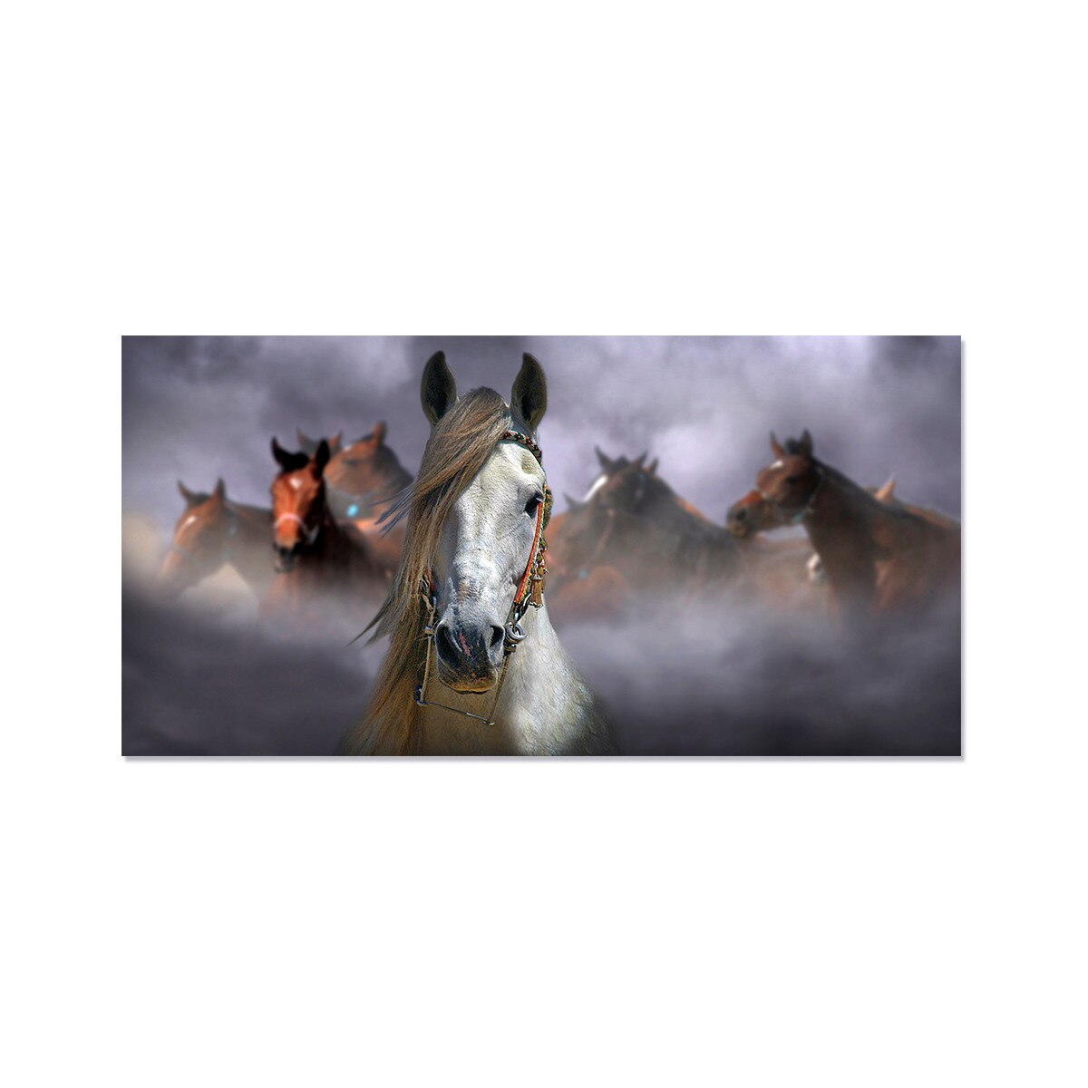 Tablou Canvas - Cai, Animale, Ceata, 50 x 100 cm