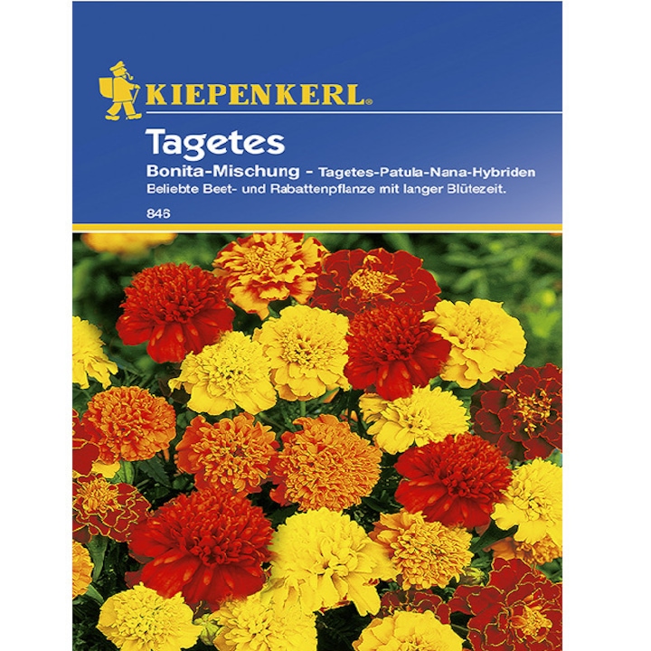 Seminte de Craite Bonita Mix, plic de 40 seminte