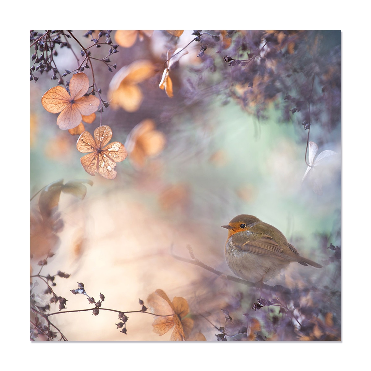 Tablou Canvas - Pasar, Animale, Flori, Creanga, 100 x 100 cm