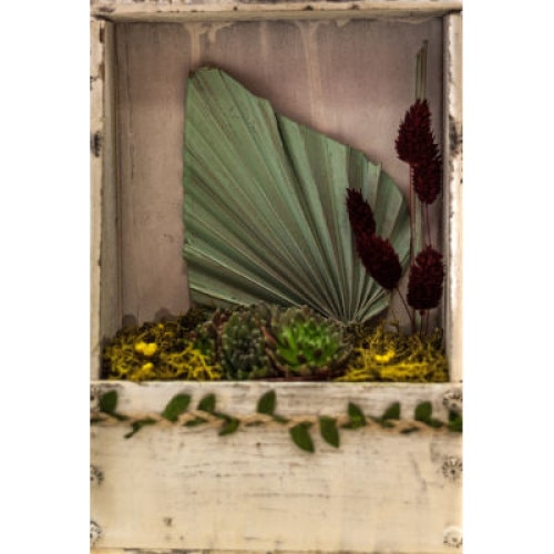 Aranjament cu plante suculente, licheni si flori uscate