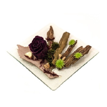 Aranjament floral cu plante suculente si trandafir criogenat Aranjament floral cu plante suculente si trandafir criogenat